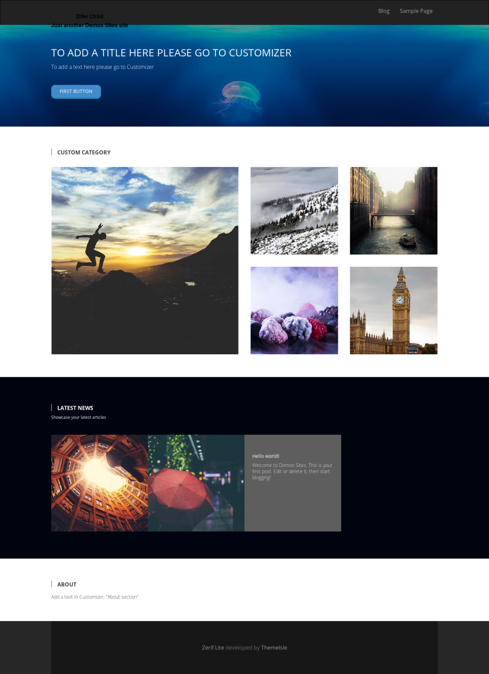 Zifer (CT of Zerif Theme) - live preview