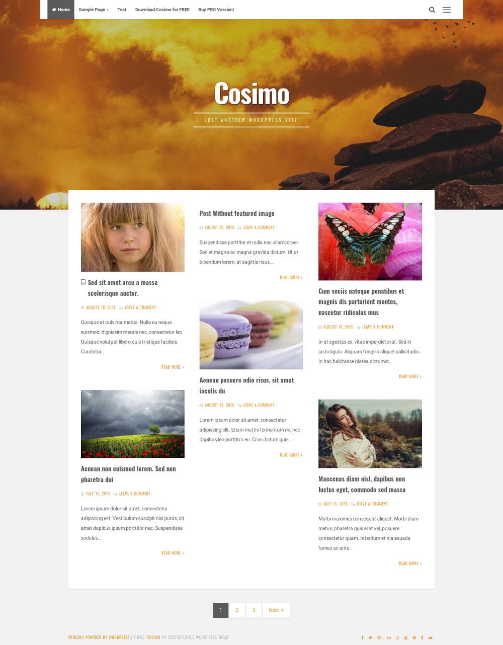 Cosimo - live preview