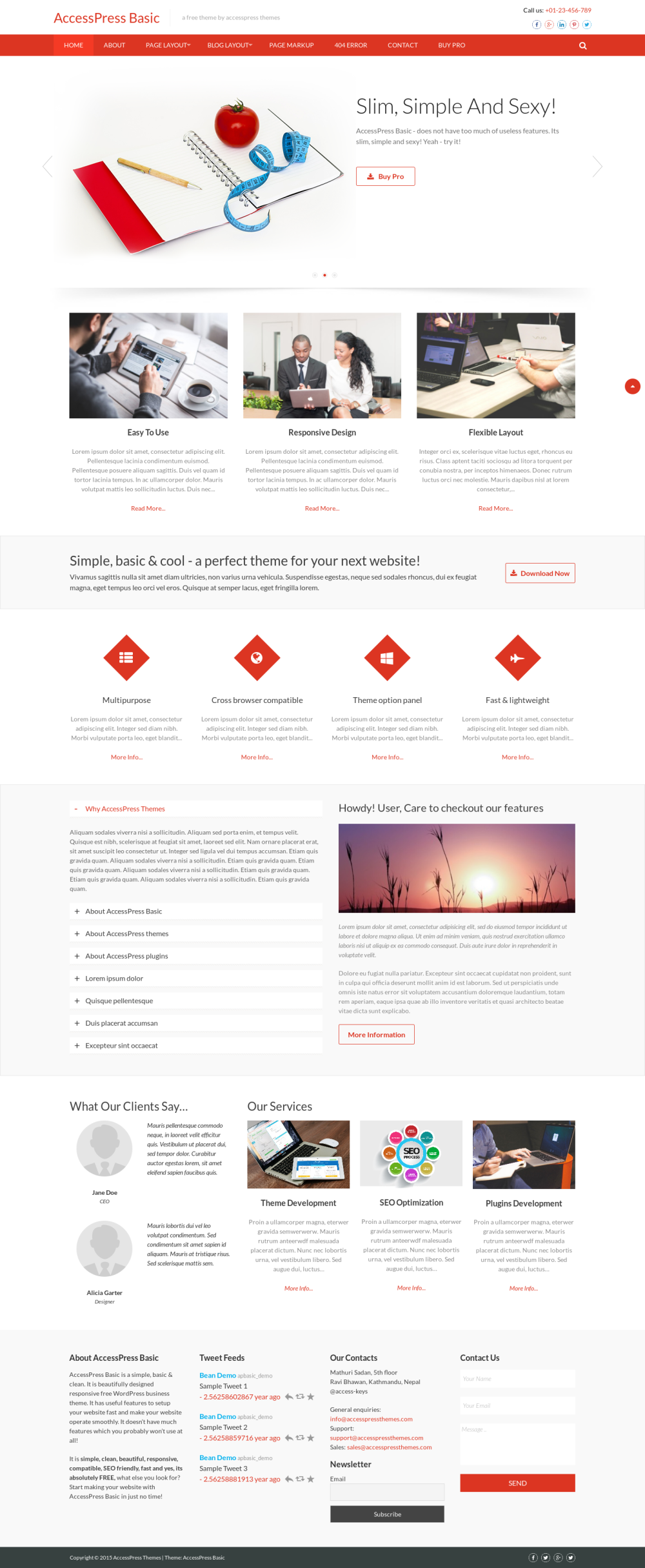 AccessPress Basic - live preview