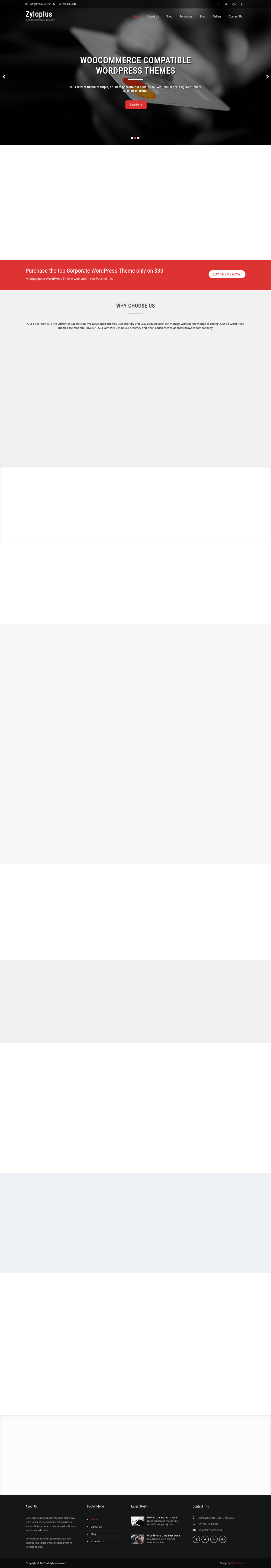 Zylo Plus - live preview
