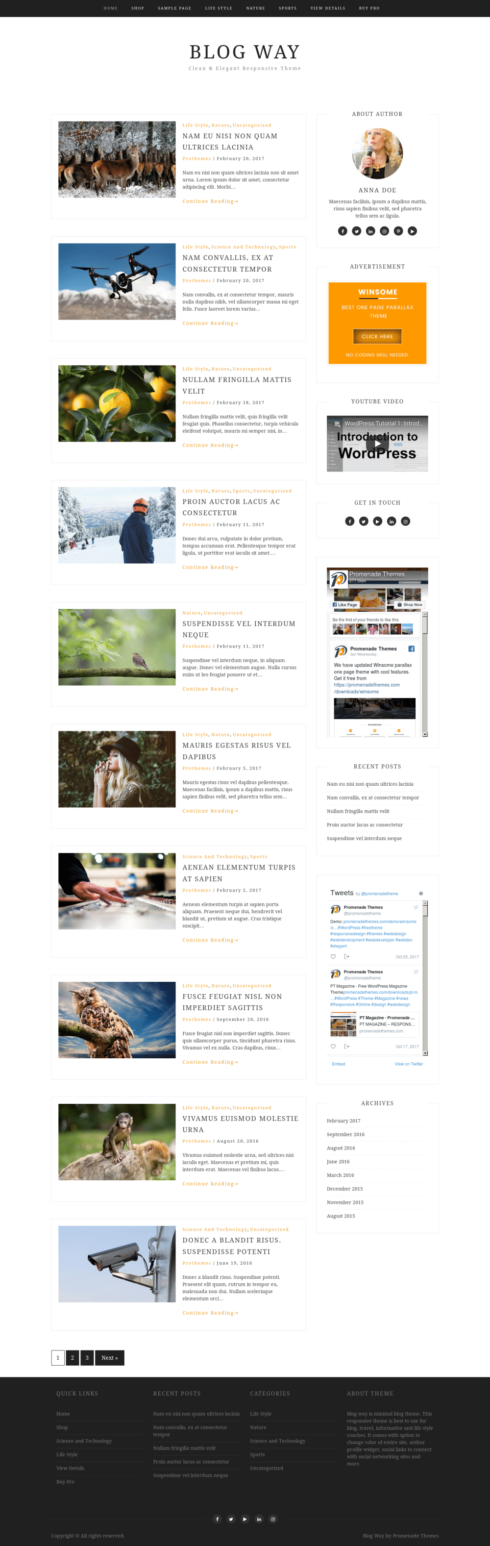 Blog Way - live preview