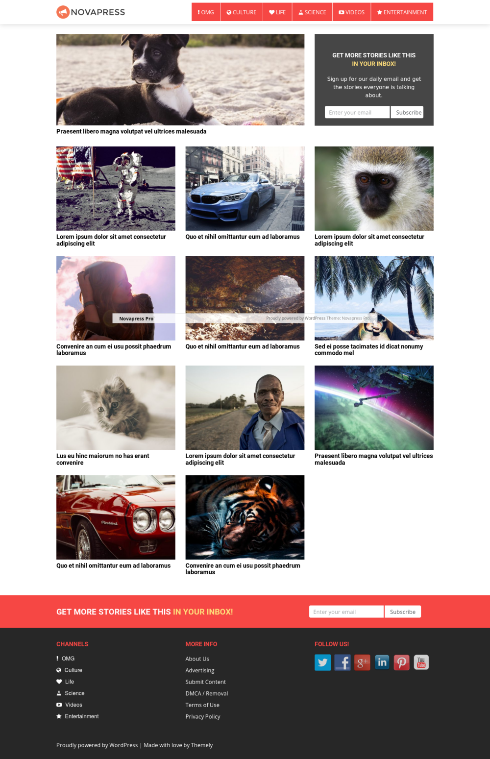 Novapress - live preview