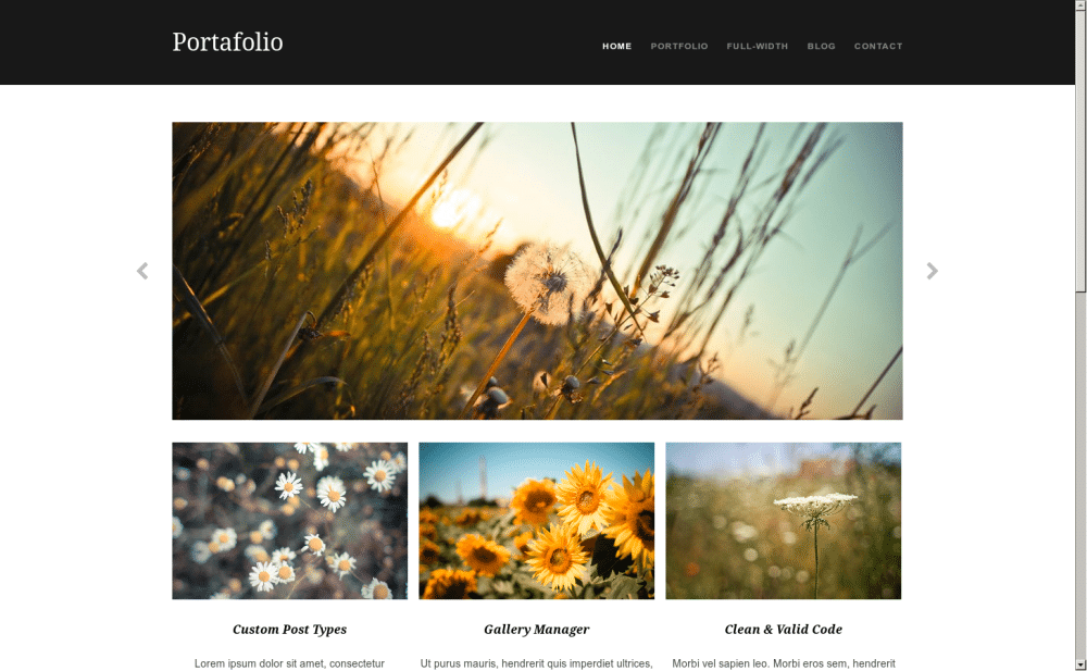 Portafolio - live preview