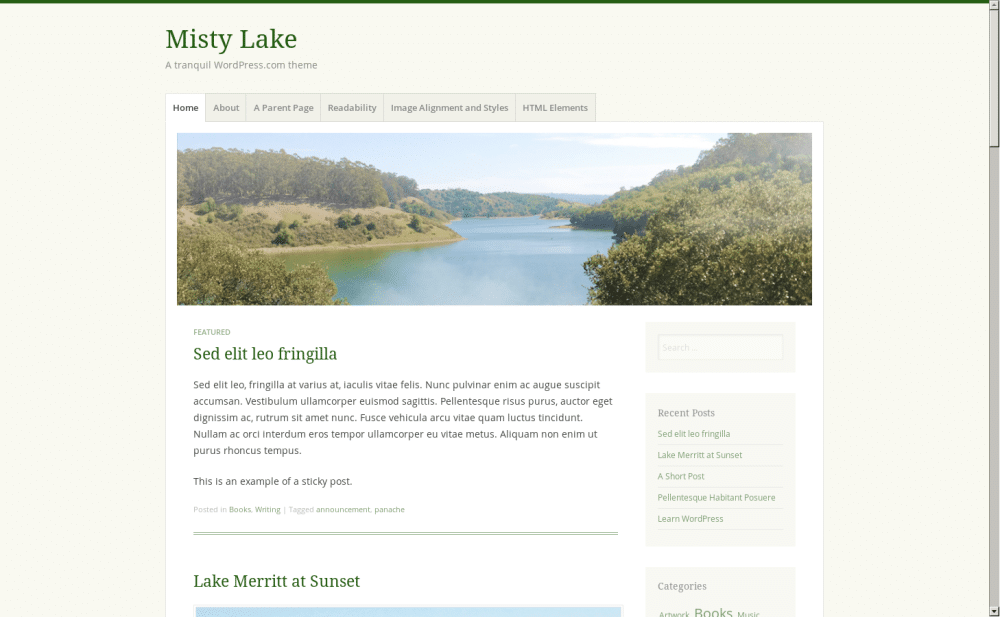 Misty Lake - live preview