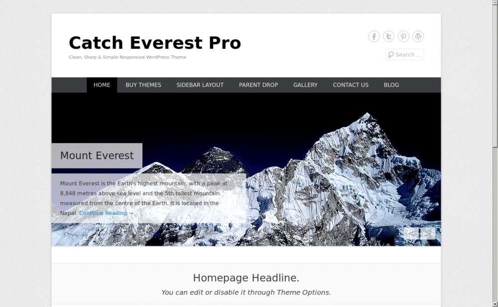 Catch Everest - live preview