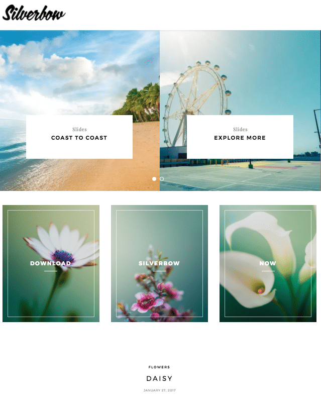 Silverbow - live preview