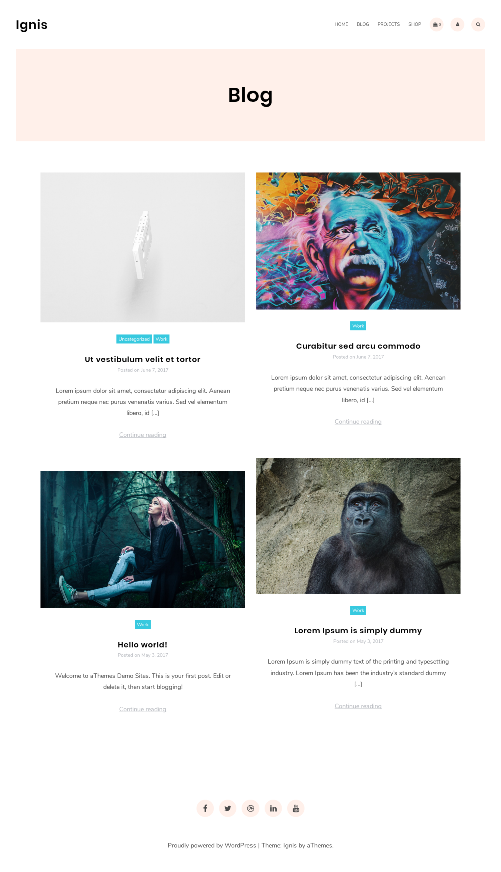 Ignis - live preview