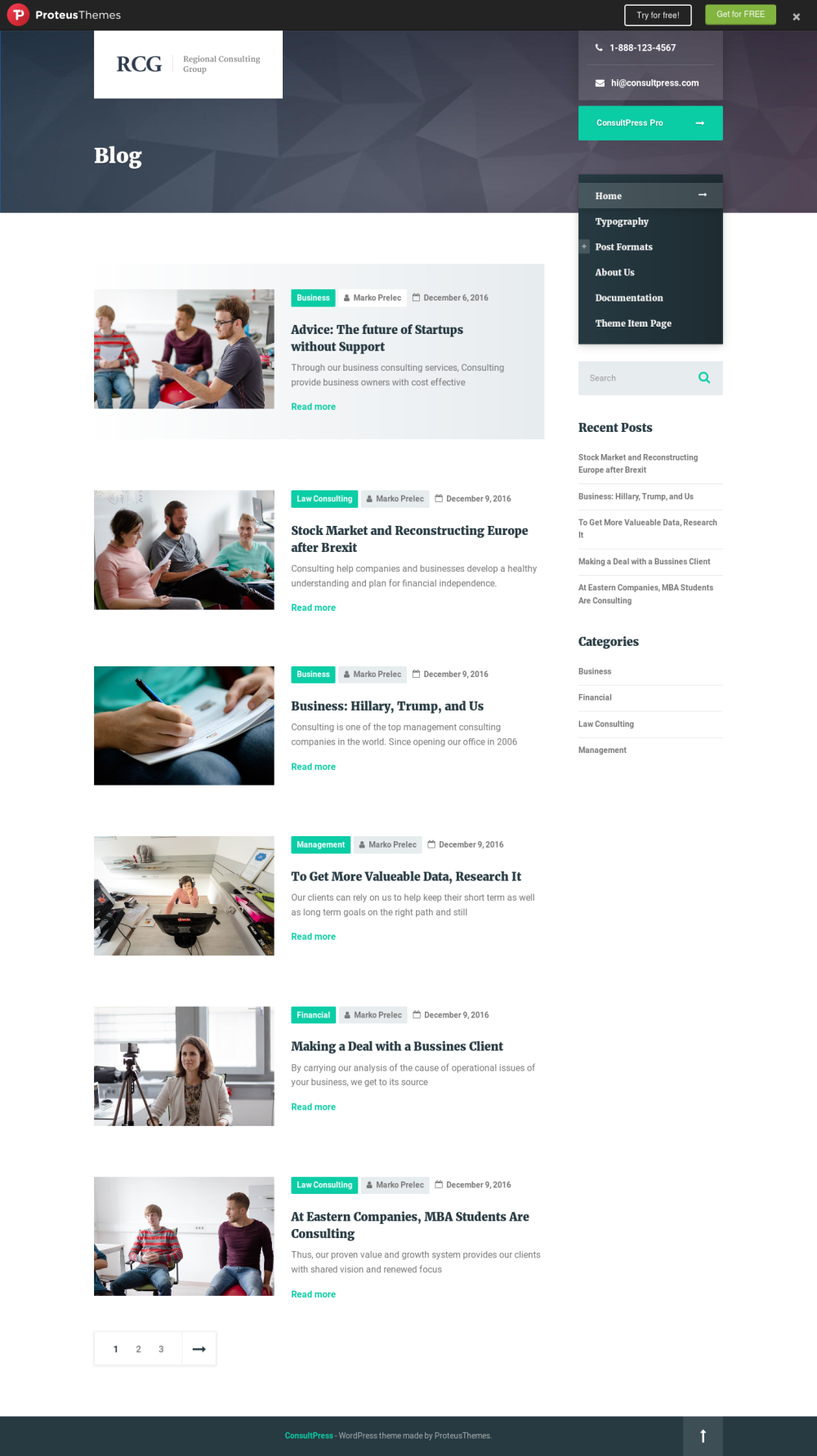 ConsultPress Lite - live preview