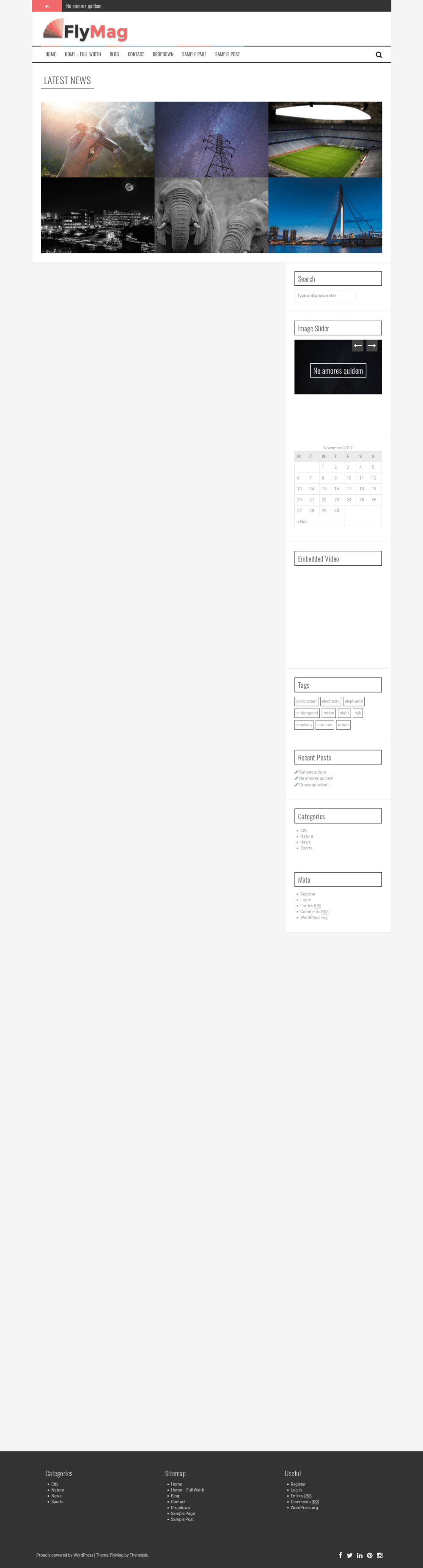 FlyMag - live preview