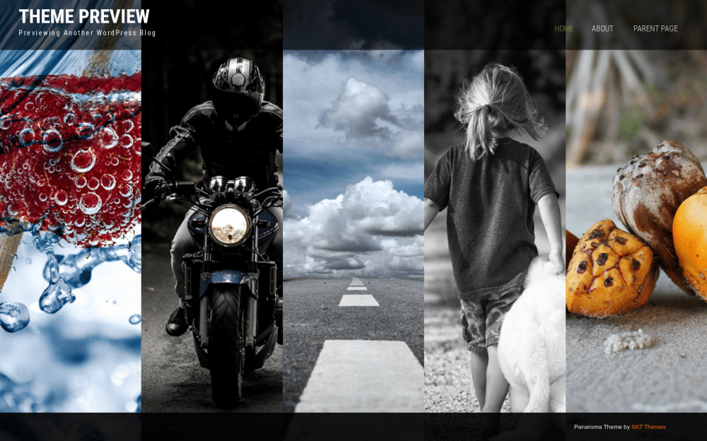 Panaroma - live preview