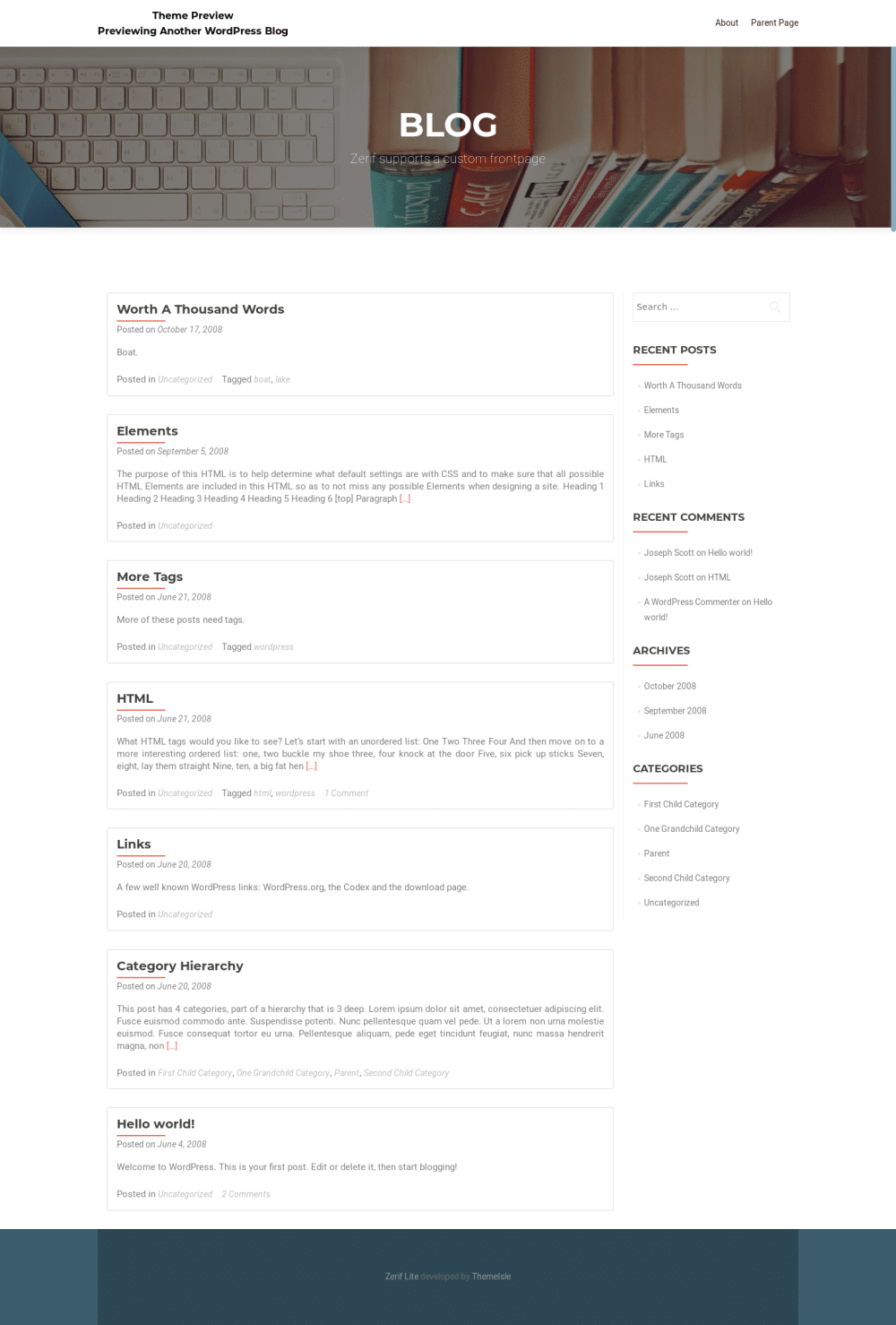 OnePirate (CT of Zerif Theme) - live preview