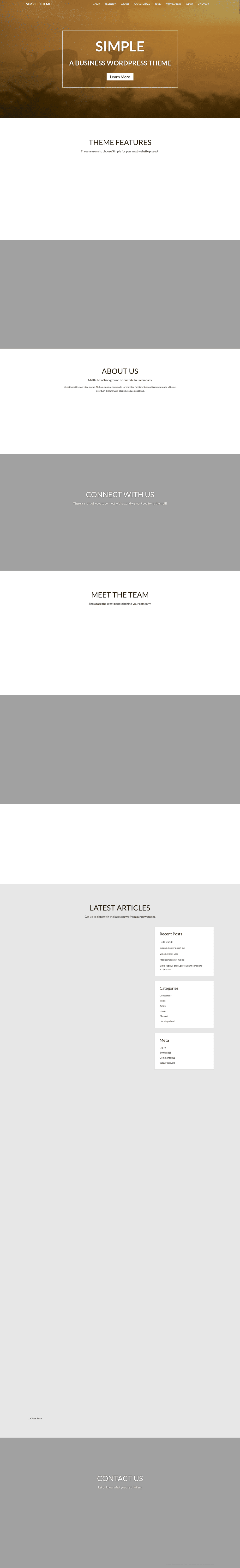 WP Simple - live preview