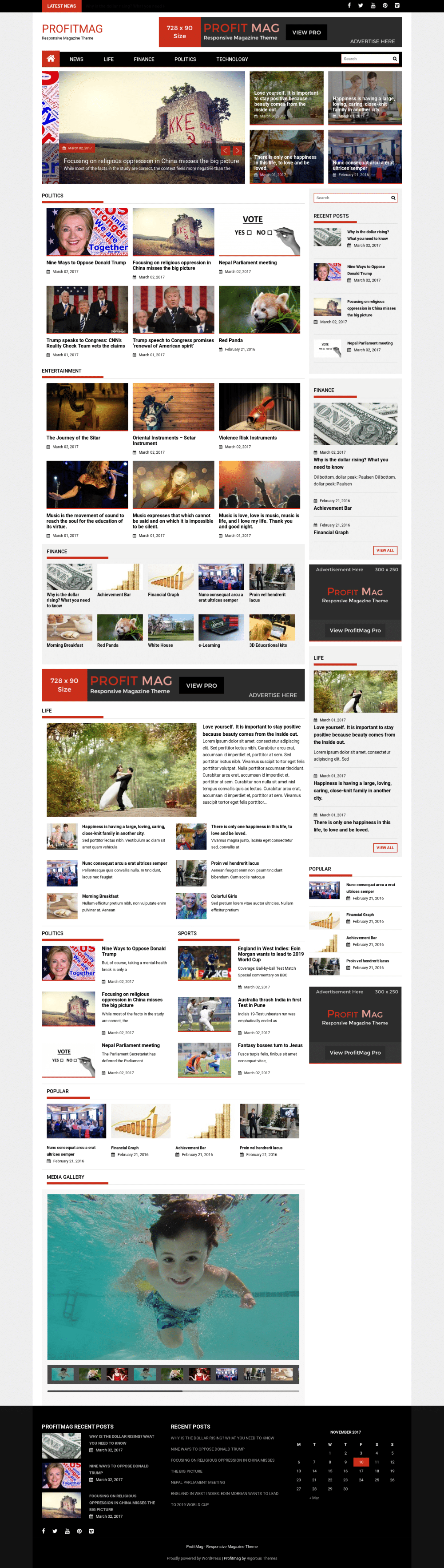 ProfitMag - live preview