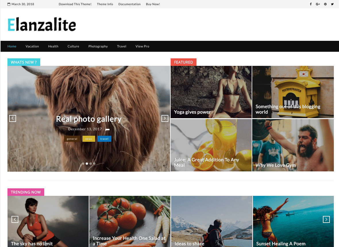 Elanzalite - live preview