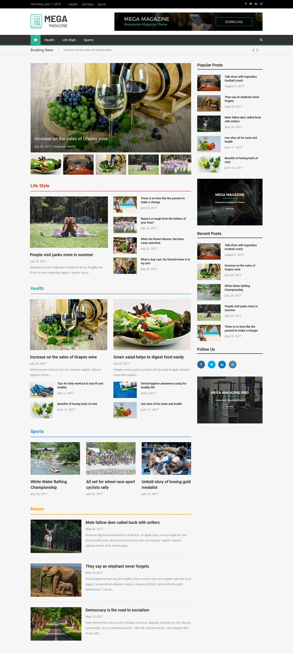 Mega Magazine - live preview