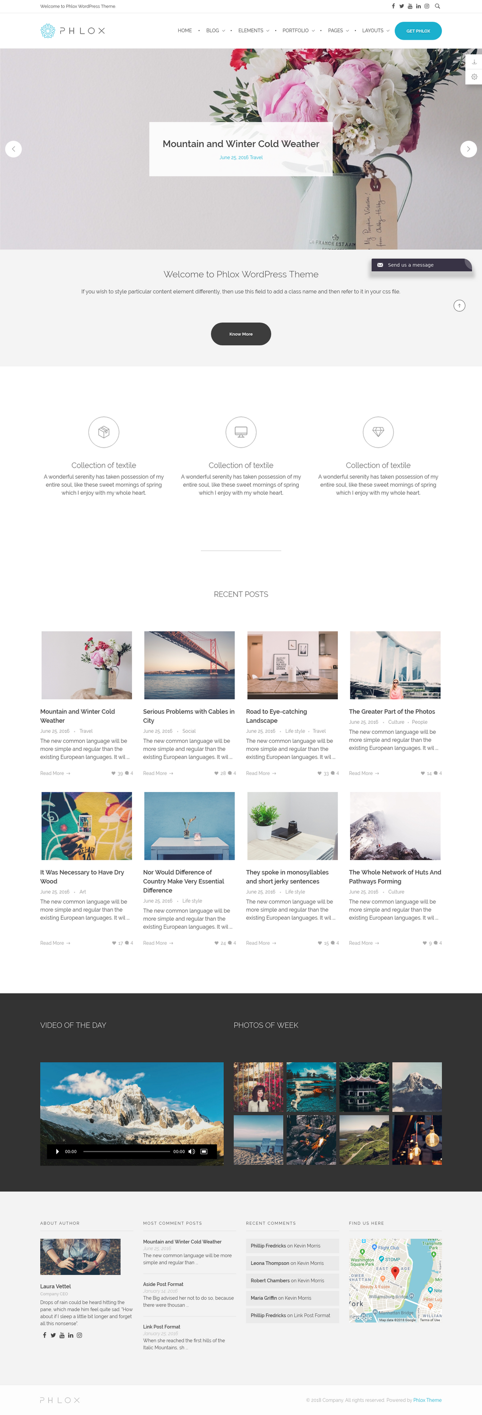 Phlox photography - live preview