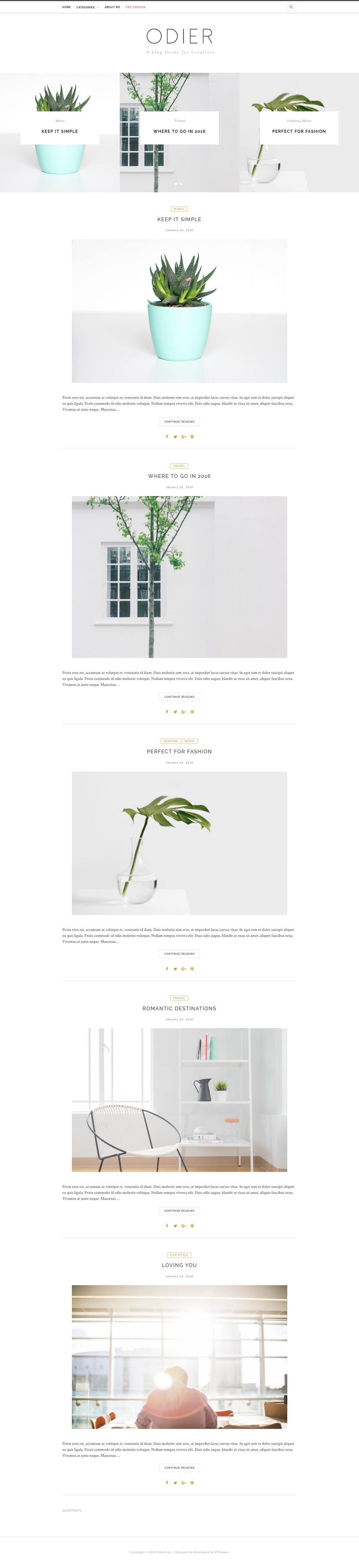 OdierLite - live preview