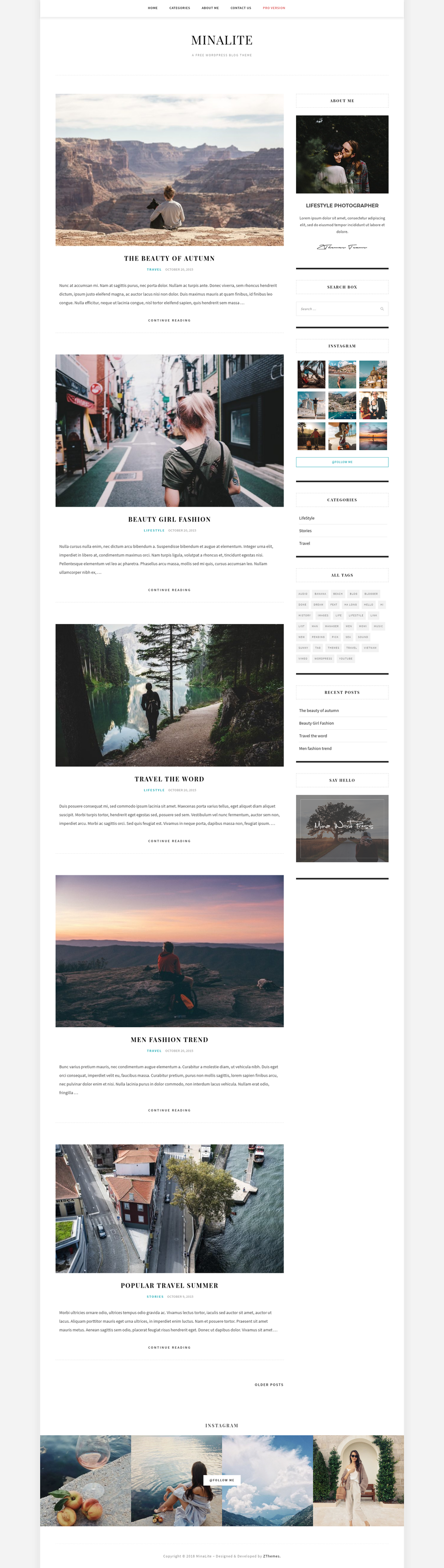 MinaLite - live preview