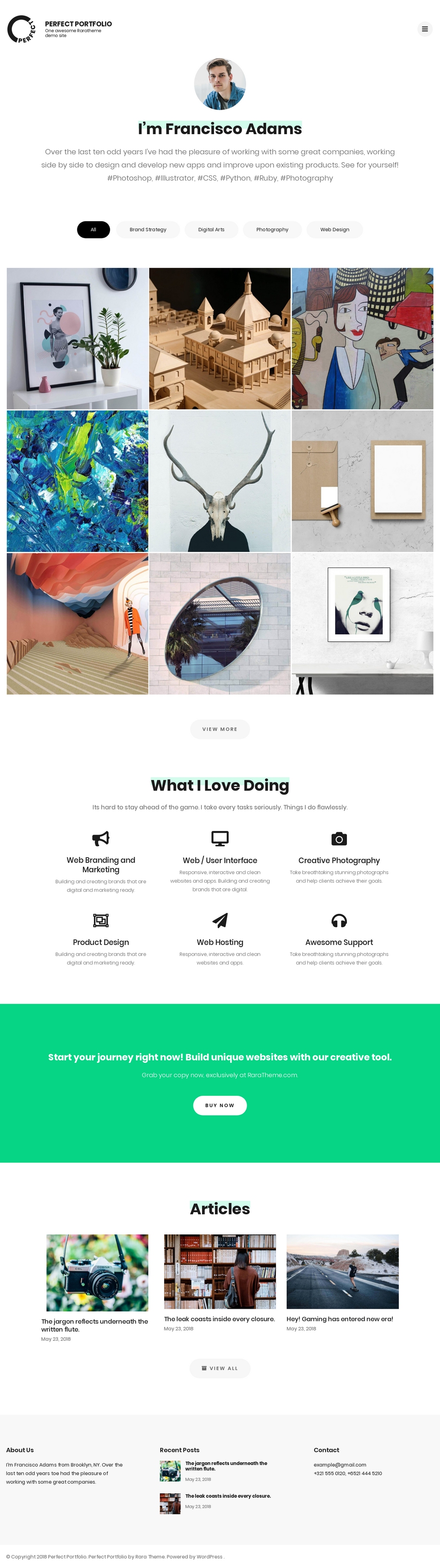 Perfect Portfolio - live preview